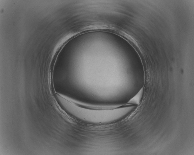 X0000073761179200608171349