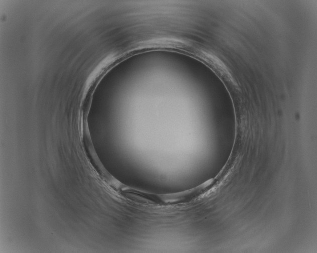 X0000073761180200608171349