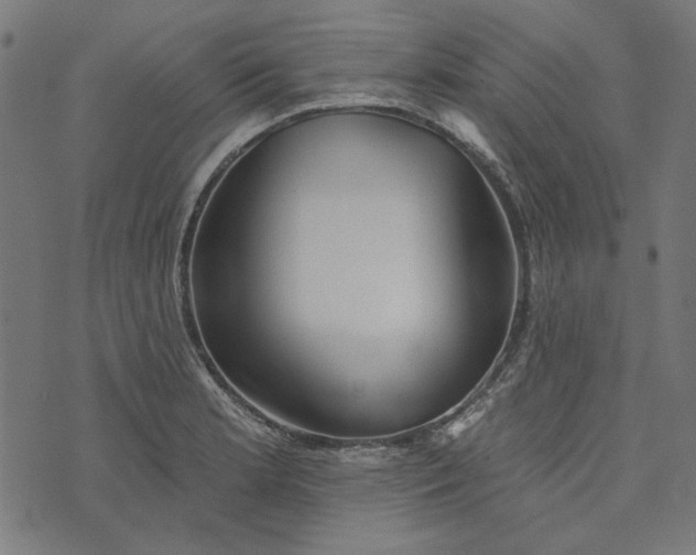 X0000073761181200608171349