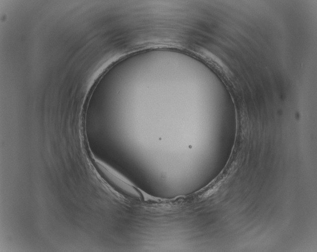 X0000073761182200608171349