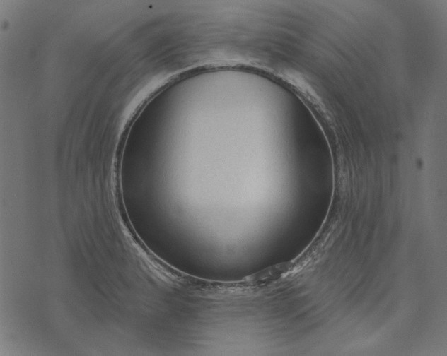 X0000073761183200608171349