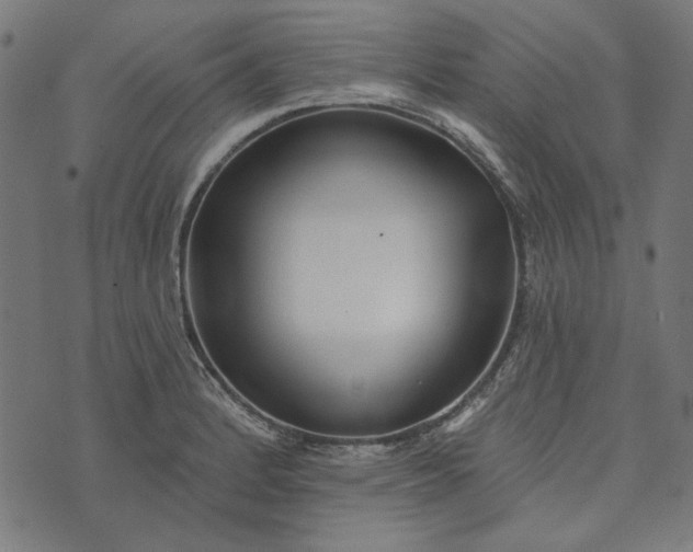 X0000073761184200608171349