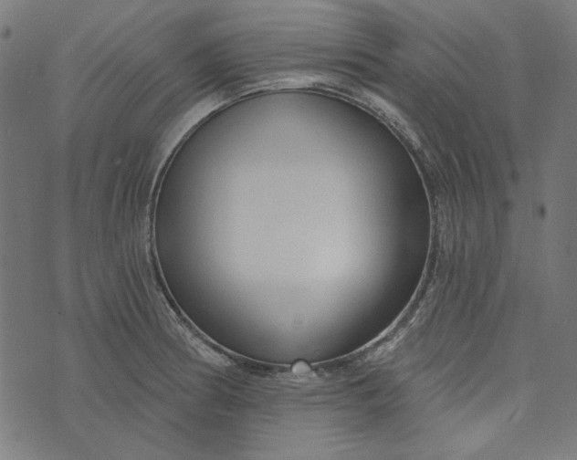 X0000073761186200608171349