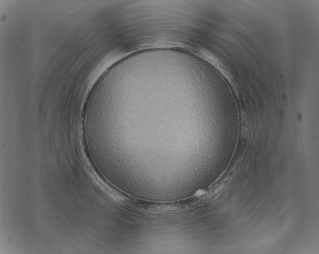 X0000073761187200608171349