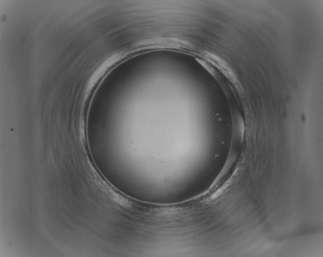 X0000073761188200608171349