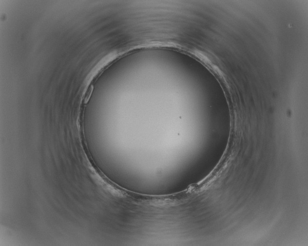 X0000073761189200608171349