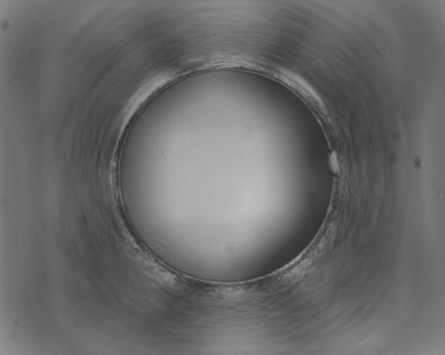 X0000073761190200608171349