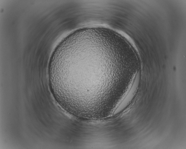 X0000073761191200608171349