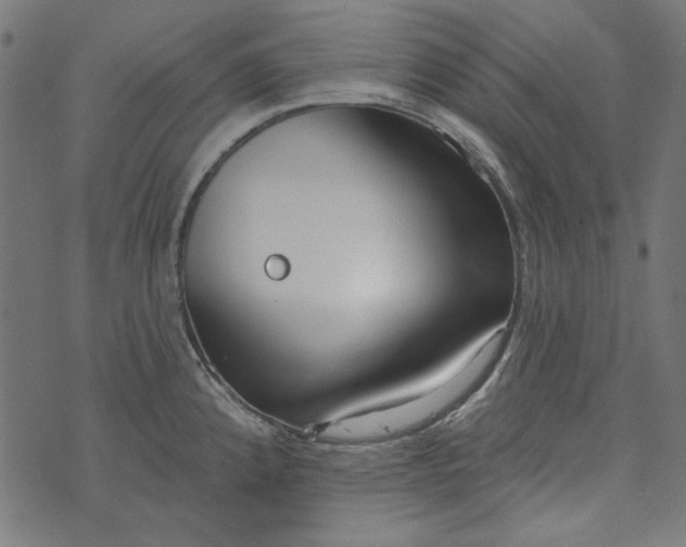 X0000073761192200608171348