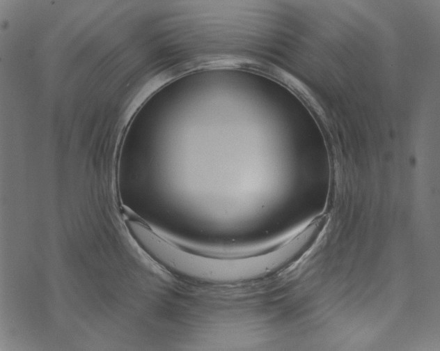 X0000073761194200608171348