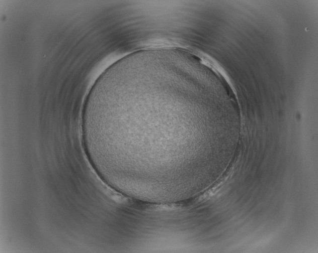 X0000073761195200608171348