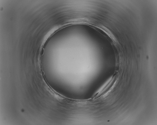 X0000073761196200608171348