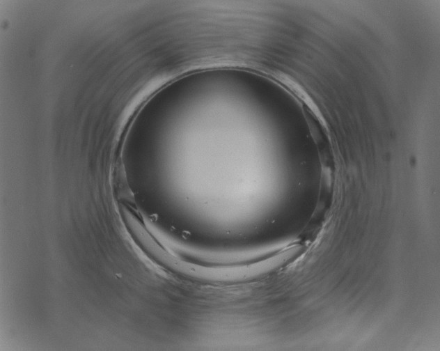 X0000073761197200608171348