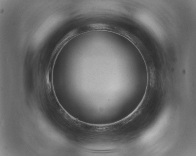 X0000073761198200608171348