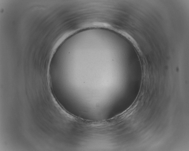 X0000073761199200608171348