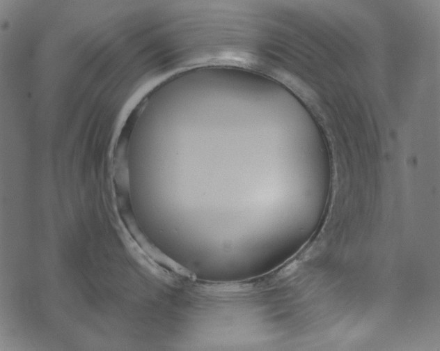 X0000073761200200608171348