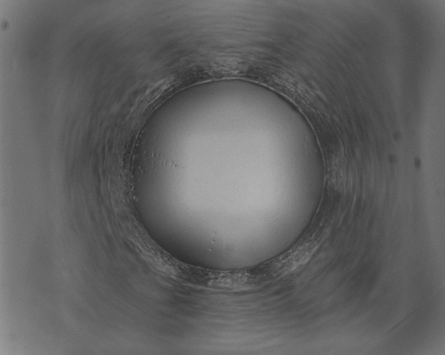 X0000073761201200608171348