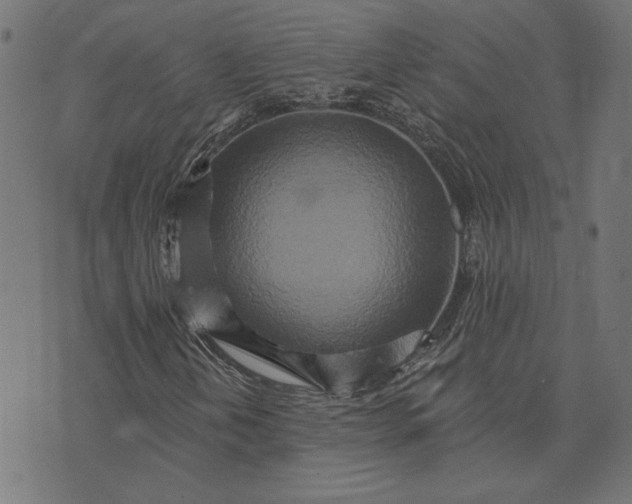 X0000073761202200608171348