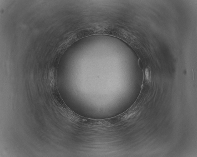 X0000073761203200608171348