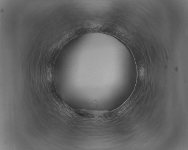 X0000073761204200608171348