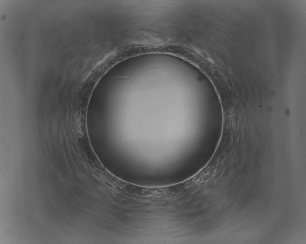 X0000073761205200608171348