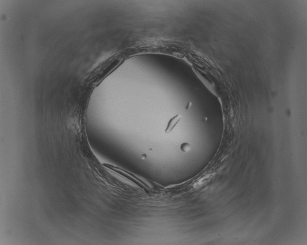 X0000073761206200608171348