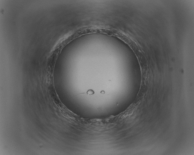 X0000073761207200608171348