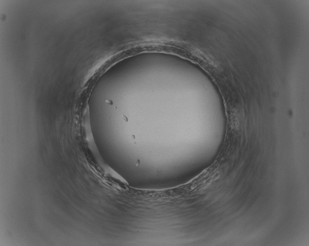 X0000073761208200608171348