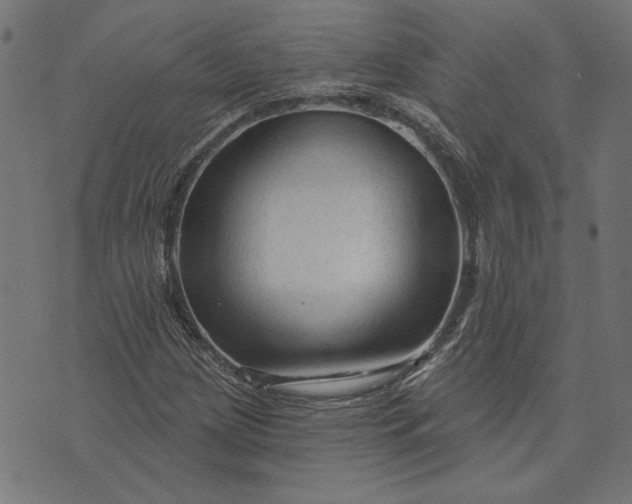 X0000073761209200608171348