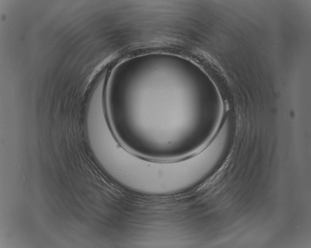 X0000073761210200608171348