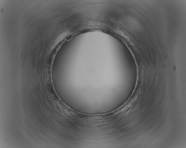 X0000073761211200608171348