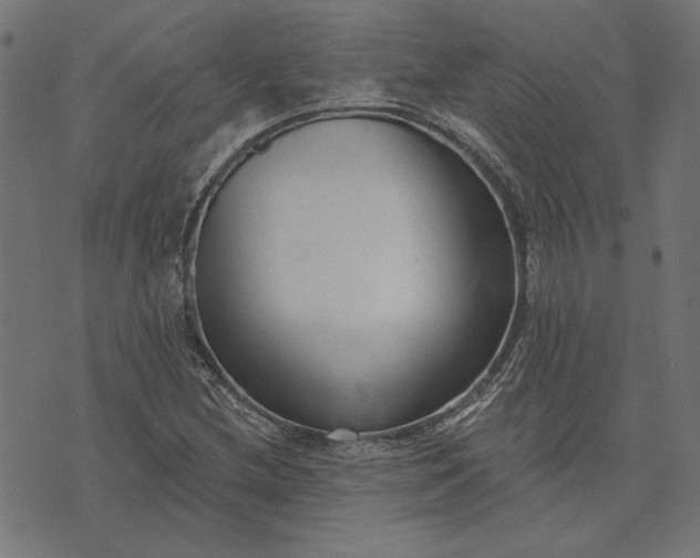 X0000073761212200608171348