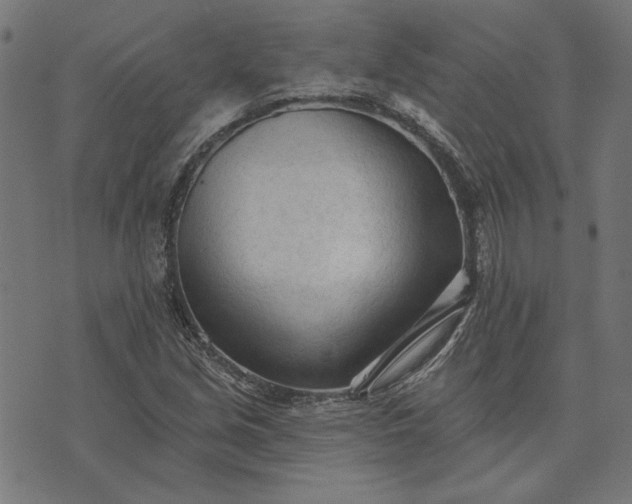 X0000073761213200608171348