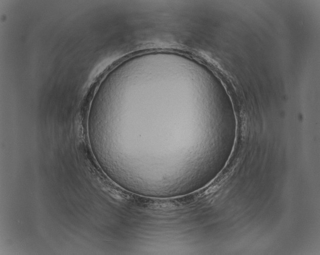 X0000073761215200608171348