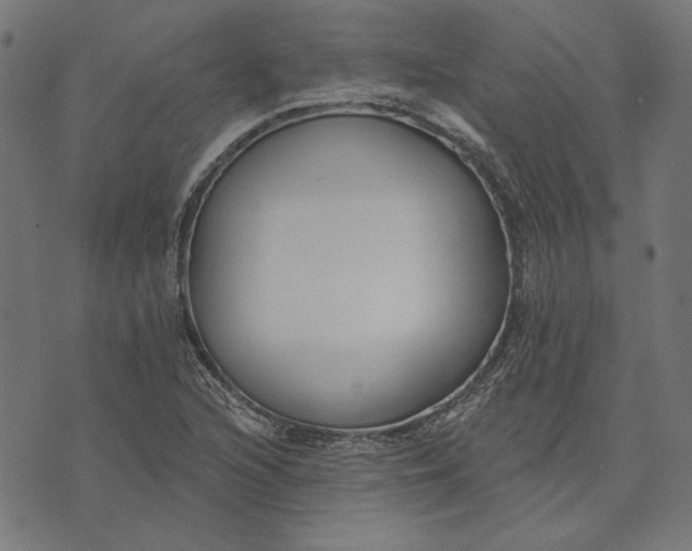 X0000073761216200608171348