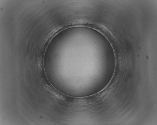 X0000073761217200608171348