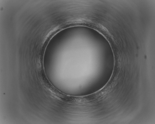 X0000073761218200608171348