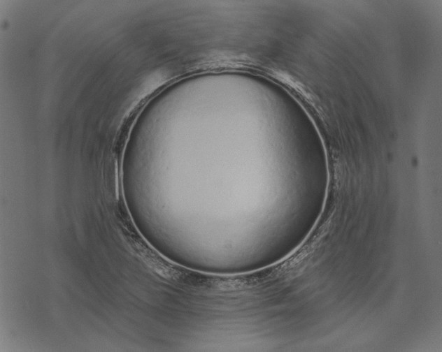 X0000073761219200608171348