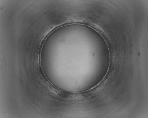 X0000073761220200608171348