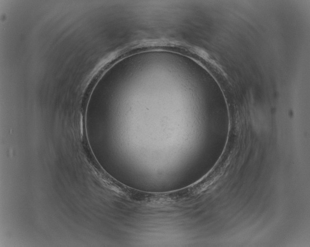 X0000073761221200608171348