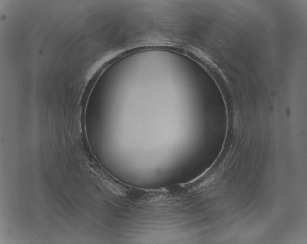 X0000073761222200608171348