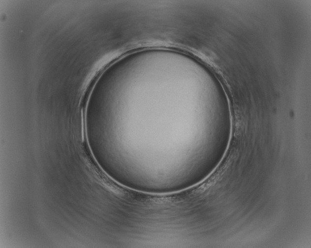 X0000073761223200608171348