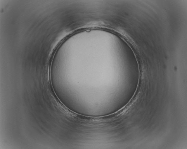 X0000073761224200608171348