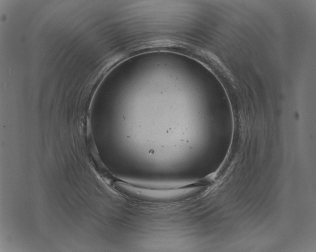 X0000073761225200608171348