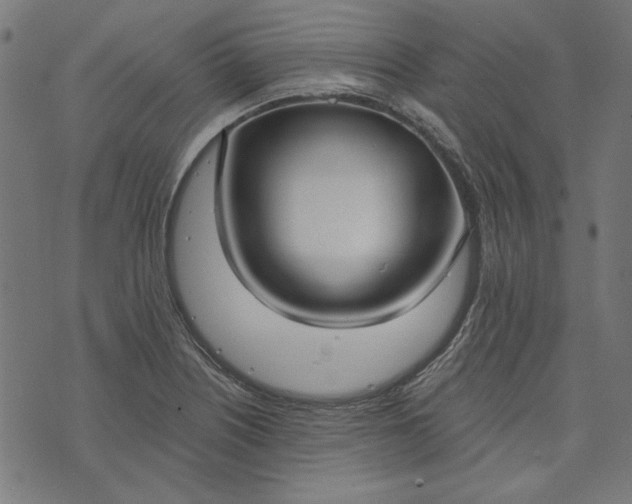 X0000073761226200608171348