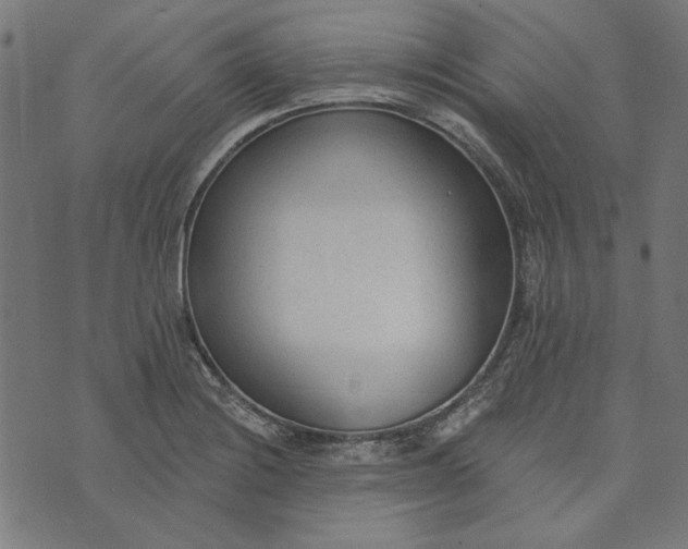 X0000073761228200608171348