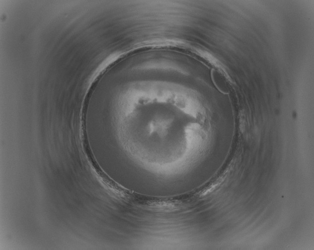 X0000073761229200608171348