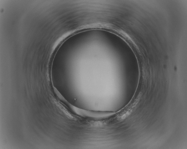 X0000073761230200608171348