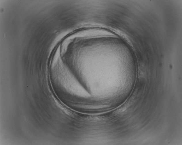 X0000073761231200608171348