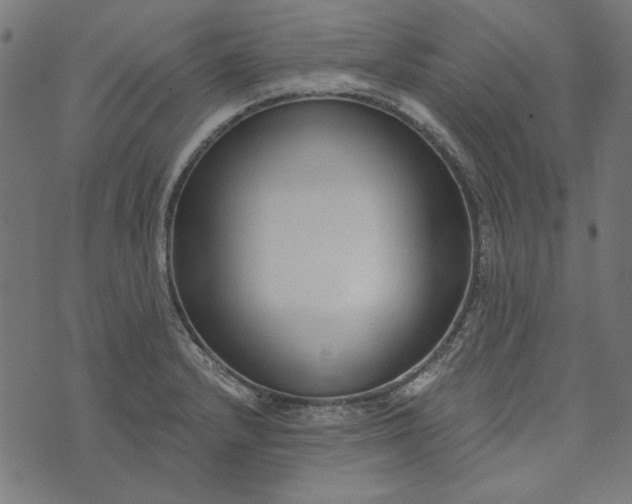 X0000073761232200608171348